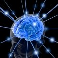 Тренинги мозга онлайн. Тренировка мозга. Развитие памяти, скорости мышления. Нестандартное мышление.